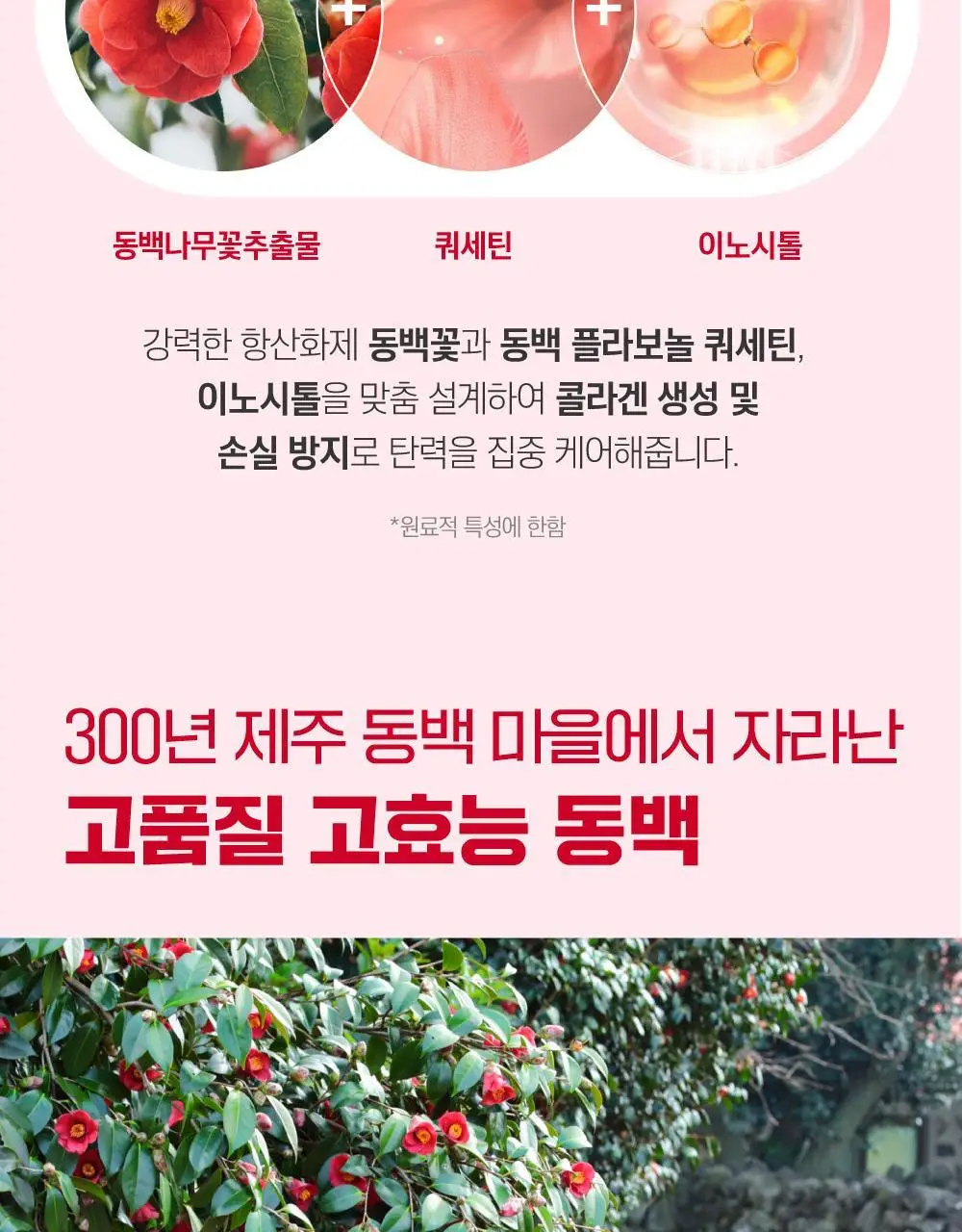 [10층탄력] 라운드랩 동백 딥 콜라겐 탄력 크림 50ml 기획 (+10ml) 상세페이지 30